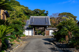 能満寺 | 高解像度画像サイズ：8192 x 5464 pixels | 写真番号：6F1A5449 | 撮影：Canon EOS R5m2