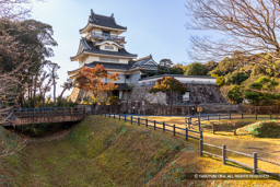 空掘・土橋・展望台小山城 | 高解像度画像サイズ：8192 x 5464 pixels | 写真番号：6F1A5463 | 撮影：Canon EOS R5m2