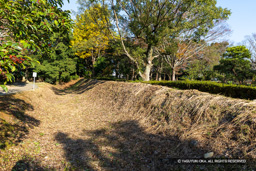 土塁か | 高解像度画像サイズ：8192 x 5464 pixels | 写真番号：6F1A5478 | 撮影：Canon EOS R5m2