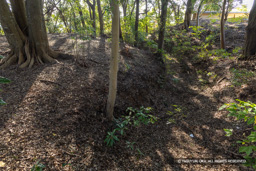 三重堀 | 高解像度画像サイズ：8192 x 5464 pixels | 写真番号：6F1A5480 | 撮影：Canon EOS R5m2