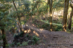三重堀・小山城 | 高解像度画像サイズ：8192 x 5464 pixels | 写真番号：6F1A5485 | 撮影：Canon EOS R5m2