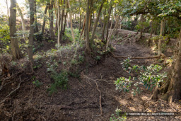 三重堀 | 高解像度画像サイズ：8192 x 5464 pixels | 写真番号：6F1A5496 | 撮影：Canon EOS R5m2