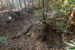 勘助井戸と三重掘 | 高解像度画像サイズ：8192 x 5464 pixels | 写真番号：6F1A5501 | 撮影：Canon EOS R5m2