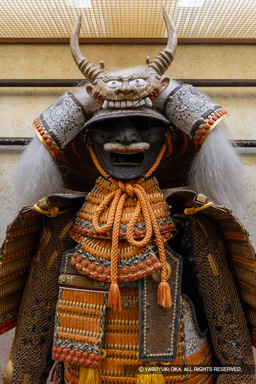 小山城の侍たち | 高解像度画像サイズ：5351 x 8023 pixels | 写真番号：6F1A5521 | 撮影：Canon EOS R5m2