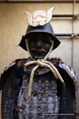 小山城の侍たち | 高解像度画像サイズ：5464 x 8192 pixels | 写真番号：6F1A5522 | 撮影：Canon EOS R5m2