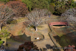 三日月堀と空堀 | 高解像度画像サイズ：8192 x 5464 pixels | 写真番号：6F1A5536 | 撮影：Canon EOS R5m2