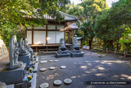 曲輪跡か | 高解像度画像サイズ：8192 x 5464 pixels | 写真番号：6F1A5545 | 撮影：Canon EOS R5m2