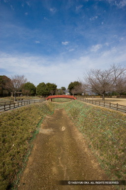 主郭空堀・小山城 | 高解像度画像サイズ：3328 x 4992 pixels | 写真番号：VJ7Z2971 | 撮影：Canon EOS-1Ds Mark II