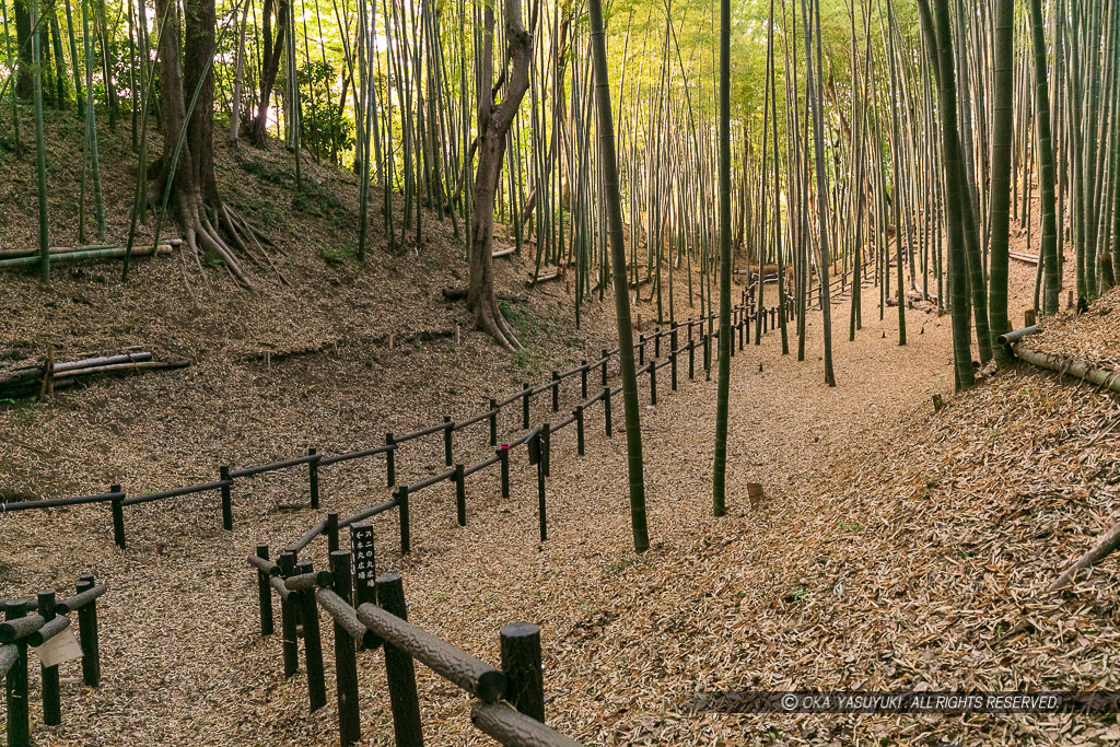 小机城の堀