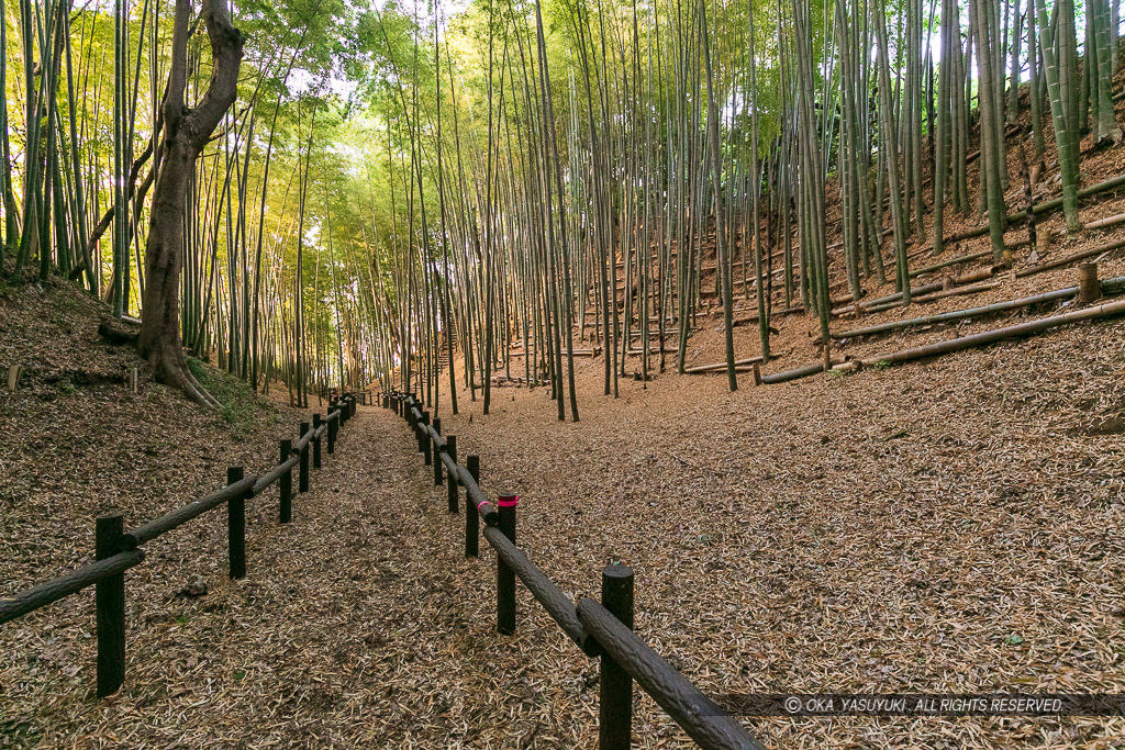 小机城の堀