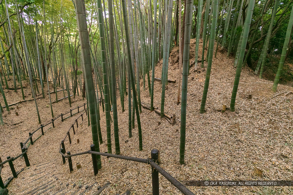 小机城の堀と土塁