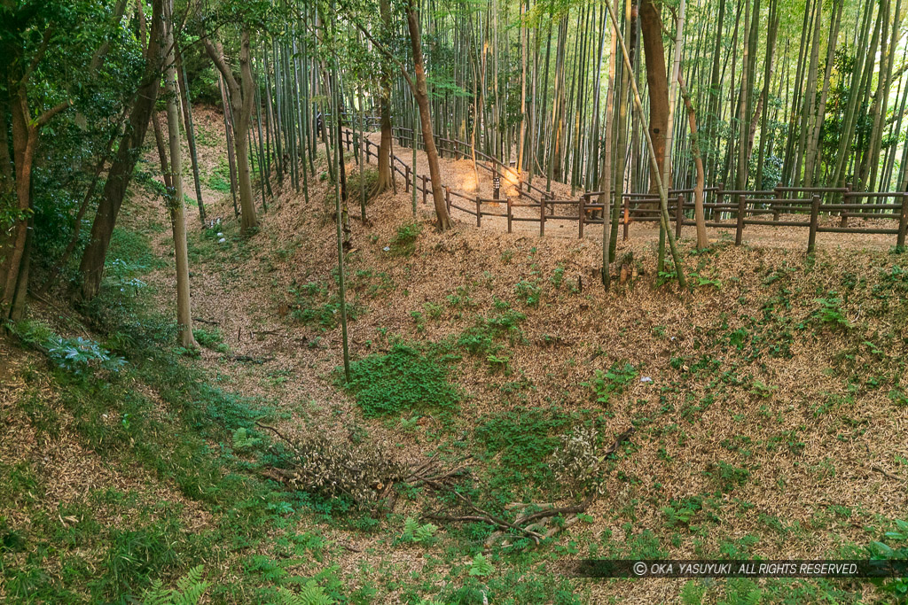 小机城の堀と土塁