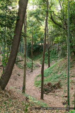 小机城の堀｜高解像度画像サイズ：4320 x 6480 pixels｜写真番号：5DSA7191｜撮影：Canon EOS 5DS