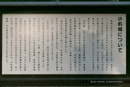小机城の歴史解説｜高解像度画像サイズ：6267 x 4178 pixels｜写真番号：5DSA7224｜撮影：Canon EOS 5DS