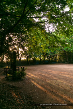 本丸跡｜高解像度画像サイズ：4320 x 6480 pixels｜写真番号：5DSA7227｜撮影：Canon EOS 5DS