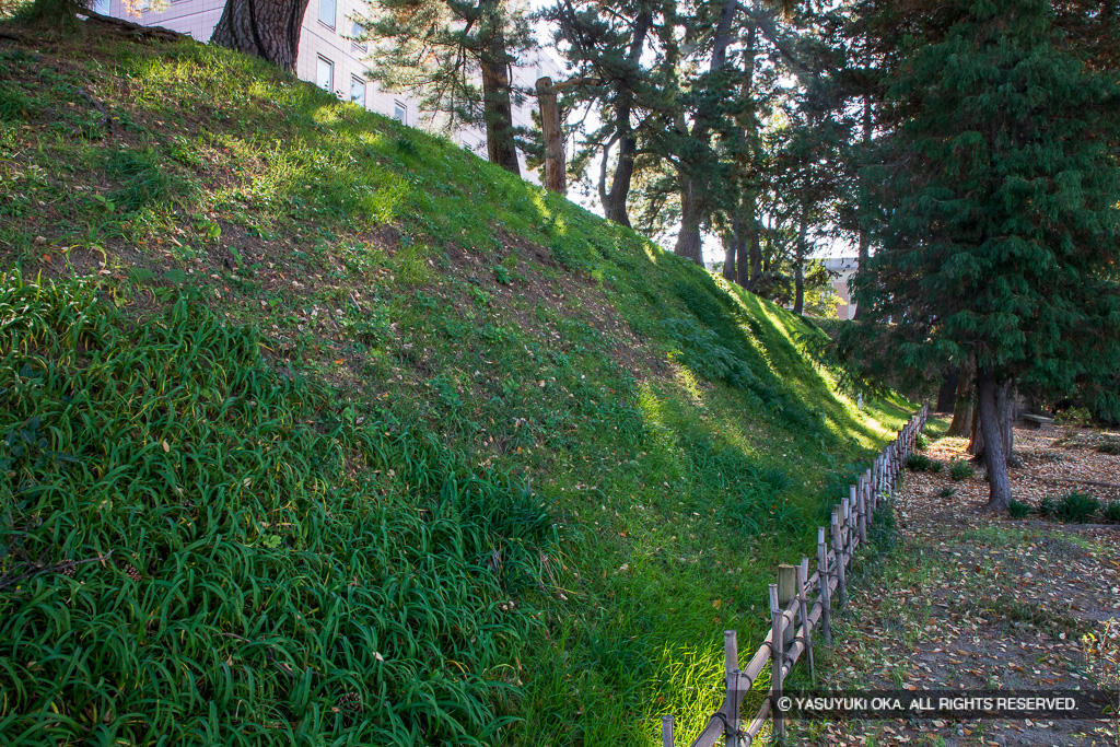 前橋城土塁