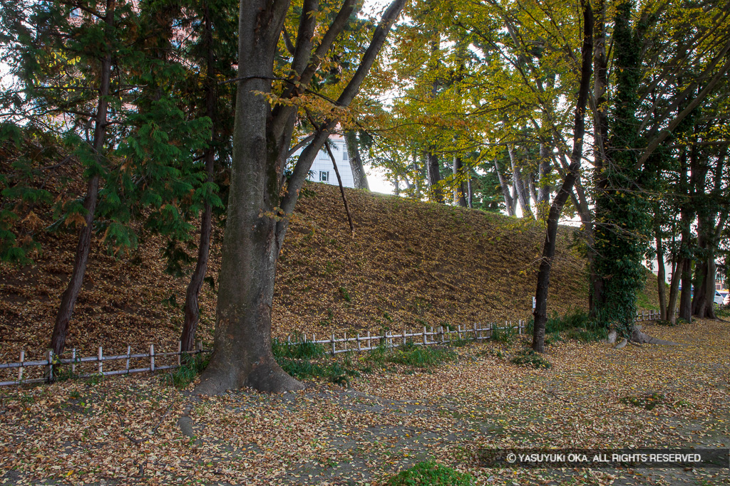 前橋城本丸土塁