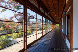 臨江閣 | 高解像度画像サイズ：6546 x 4364 pixels | 写真番号：5D4A0090 | 撮影：Canon EOS 5D Mark IV