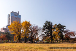 柳原口内 | 高解像度画像サイズ：6720 x 4480 pixels | 写真番号：5D4A0187 | 撮影：Canon EOS 5D Mark IV