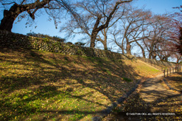 柳原口内土塁 | 高解像度画像サイズ：6720 x 4480 pixels | 写真番号：5D4A0190 | 撮影：Canon EOS 5D Mark IV