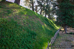 前橋城土塁 | 高解像度画像サイズ：6720 x 4480 pixels | 写真番号：5D4A0195 | 撮影：Canon EOS 5D Mark IV