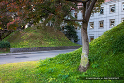 前橋城高浜門跡・土塁 | 高解像度画像サイズ：6720 x 4480 pixels | 写真番号：5D4A0196 | 撮影：Canon EOS 5D Mark IV