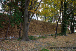 前橋城本丸土塁 | 高解像度画像サイズ：6720 x 4480 pixels | 写真番号：5D4A0198 | 撮影：Canon EOS 5D Mark IV