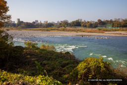 利根川 | 高解像度画像サイズ：6720 x 4480 pixels | 写真番号：5D4A0199 | 撮影：Canon EOS 5D Mark IV