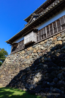 天守南面｜高解像度画像サイズ：5792 x 8688 pixels｜写真番号：5DSA1848｜撮影：Canon EOS 5DS