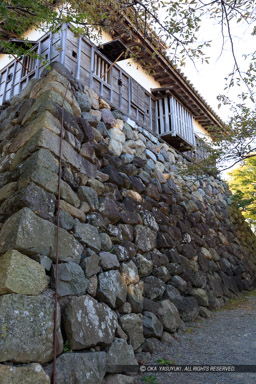 天守台・糸巻き形状｜高解像度画像サイズ：5792 x 8688 pixels｜写真番号：5DSA1859｜撮影：Canon EOS 5DS