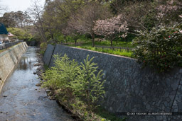 大松前川｜高解像度画像サイズ：5184 x 3456 pixels｜写真番号：1DX_0080｜撮影：Canon EOS-1D X