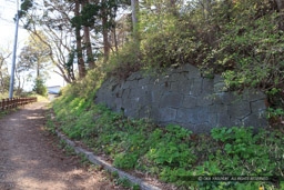 松前城山麓に残る石垣｜高解像度画像サイズ：5184 x 3456 pixels｜写真番号：1DX_0082｜撮影：Canon EOS-1D X