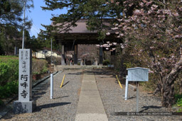 堀上門・阿吽寺・松前城移築城門｜高解像度画像サイズ：5184 x 3456 pixels｜写真番号：1DX_0086｜撮影：Canon EOS-1D X