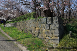 寺町に残る石垣｜高解像度画像サイズ：5184 x 3456 pixels｜写真番号：1DX_0095｜撮影：Canon EOS-1D X