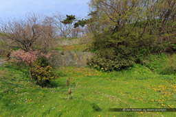 松前城馬坂付近の曲輪跡｜高解像度画像サイズ：4774 x 3183 pixels｜写真番号：1DX_9634｜撮影：Canon EOS-1D X