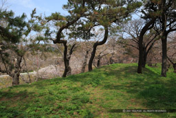 松前城の風景｜高解像度画像サイズ：5184 x 3456 pixels｜写真番号：1DX_9778｜撮影：Canon EOS-1D X