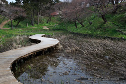 松前城西側の堀跡｜高解像度画像サイズ：5184 x 3456 pixels｜写真番号：1DX_9782｜撮影：Canon EOS-1D X