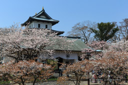 松前城の天守風景｜高解像度画像サイズ：5184 x 3456 pixels｜写真番号：1DX_9885｜撮影：Canon EOS-1D X