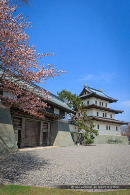 松前城の桜・本丸御門・天守｜高解像度画像サイズ：3185 x 4778 pixels｜写真番号：1DX_9917｜撮影：Canon EOS-1D X