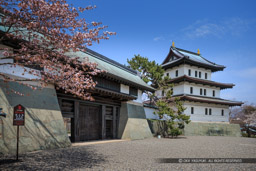 松前城の桜・本丸御門・天守｜高解像度画像サイズ：5097 x 3398 pixels｜写真番号：1DX_9921｜撮影：Canon EOS-1D X