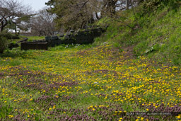 松前城大手門枡形跡｜高解像度画像サイズ：5184 x 3456 pixels｜写真番号：1DX_9970｜撮影：Canon EOS-1D X