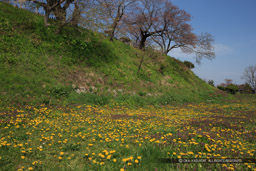 松前城大手門枡形跡｜高解像度画像サイズ：5184 x 3456 pixels｜写真番号：1DX_9973｜撮影：Canon EOS-1D X