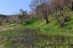 松前城西側の堀跡｜高解像度画像サイズ：5184 x 3456 pixels｜写真番号：1DX_9985｜撮影：Canon EOS-1D X