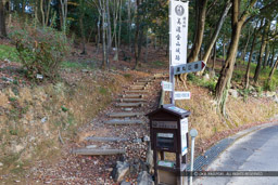 資料BOX｜高解像度画像サイズ：6720 x 4480 pixels｜写真番号：5D4A4739｜撮影：Canon EOS 5D Mark IV