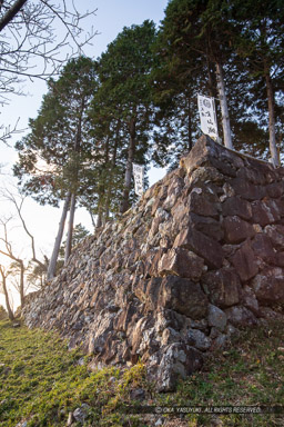 出丸跡石垣｜高解像度画像サイズ：4480 x 6720 pixels｜写真番号：5D4A4746｜撮影：Canon EOS 5D Mark IV