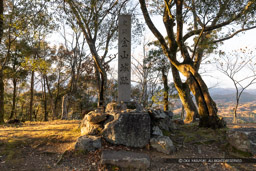 史跡金山城址石碑｜高解像度画像サイズ：6720 x 4480 pixels｜写真番号：5D4A4804｜撮影：Canon EOS 5D Mark IV