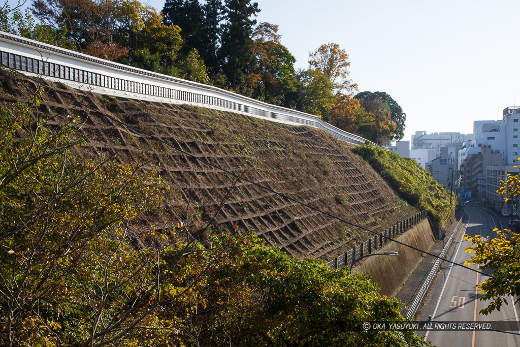 二の丸復元土塀・2020年