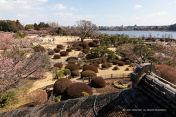 好文亭からの眺め｜高解像度画像サイズ：5888 x 3925 pixels｜写真番号：5D4A5263｜撮影：Canon EOS 5D Mark IV