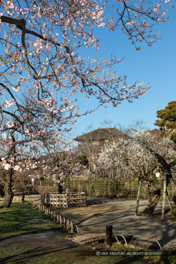 偕楽園好文亭と梅林｜高解像度画像サイズ：4417 x 6625 pixels｜写真番号：5D4A5747｜撮影：Canon EOS 5D Mark IV