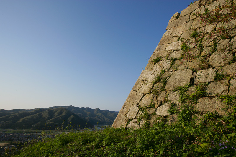 下渡城を望む